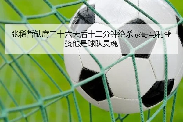 张稀哲缺席三十六天后十二分钟绝杀蒙哥马利盛赞他是球队灵魂