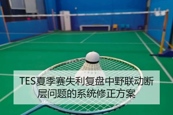 TES夏季赛失利复盘中野联动断层问题的系统修正方案